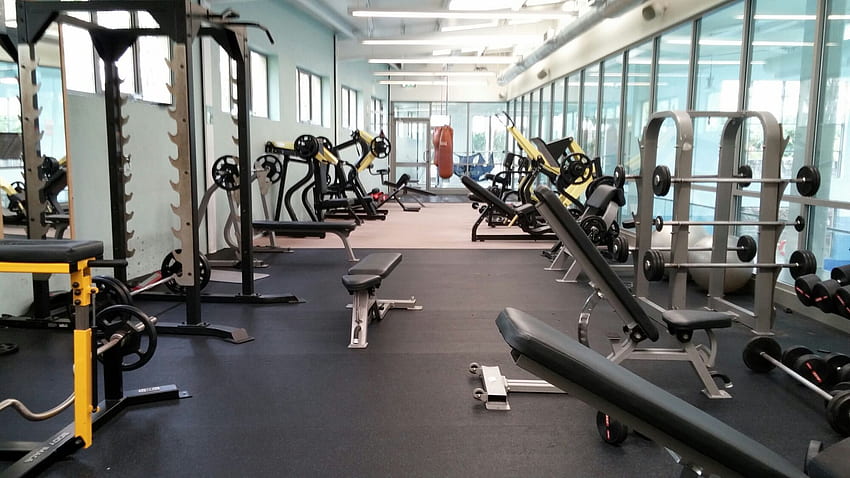 Gym Area